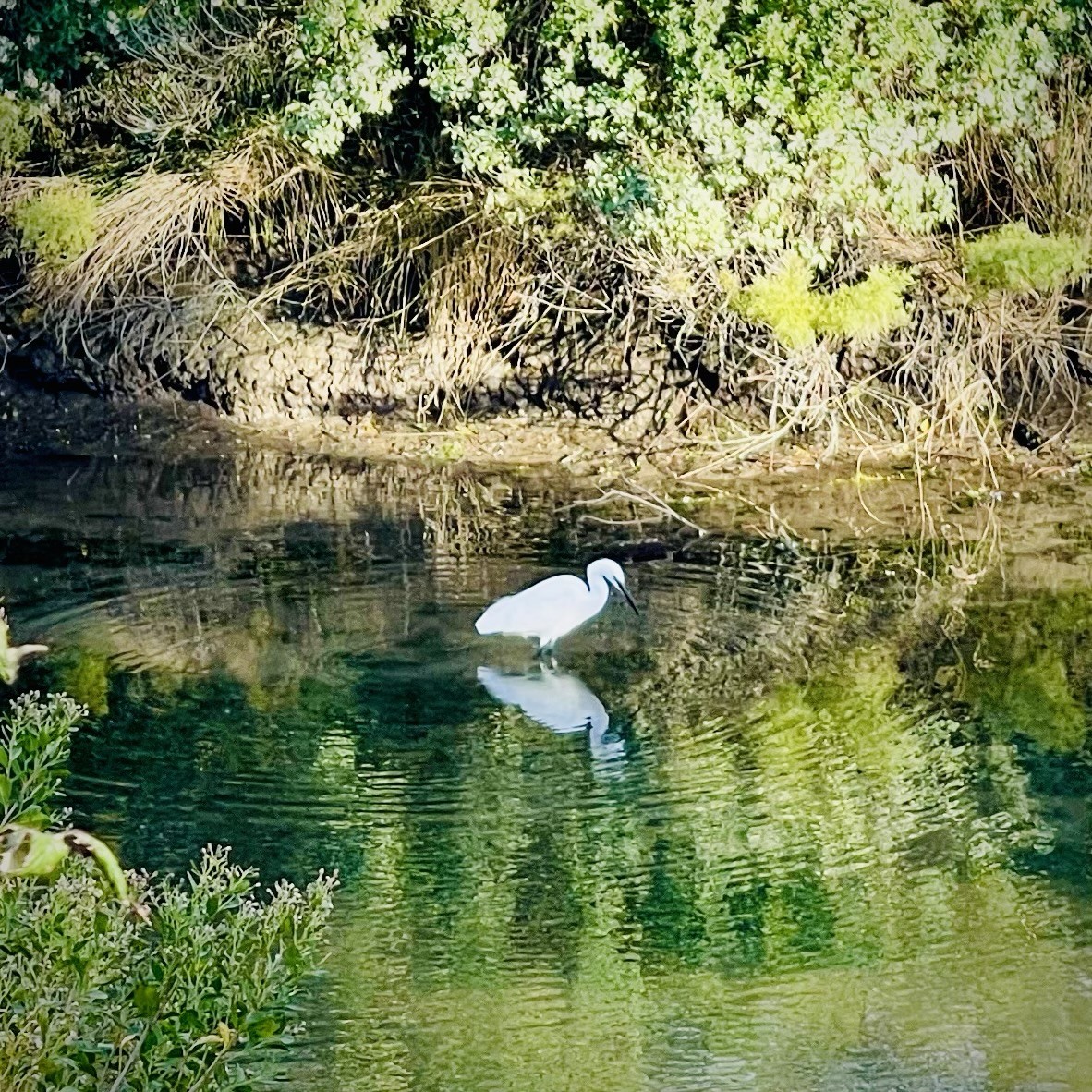 Sorry, no caption provided by author