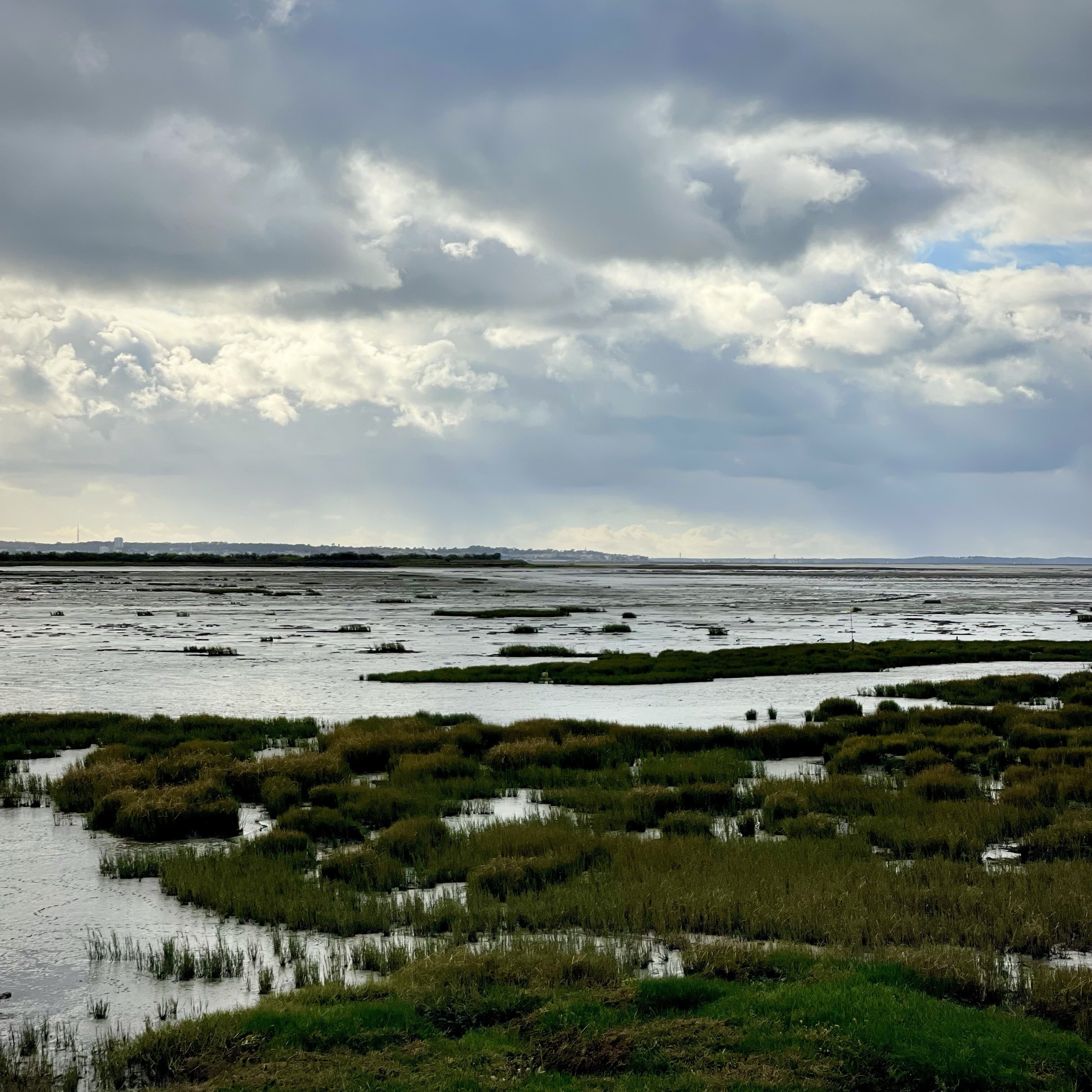 Sorry, no caption provided by author