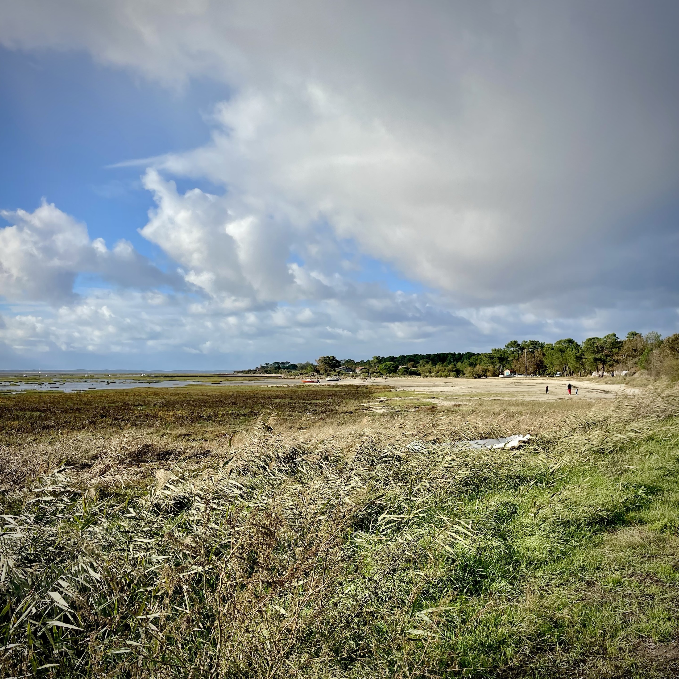 Sorry, no caption provided by author