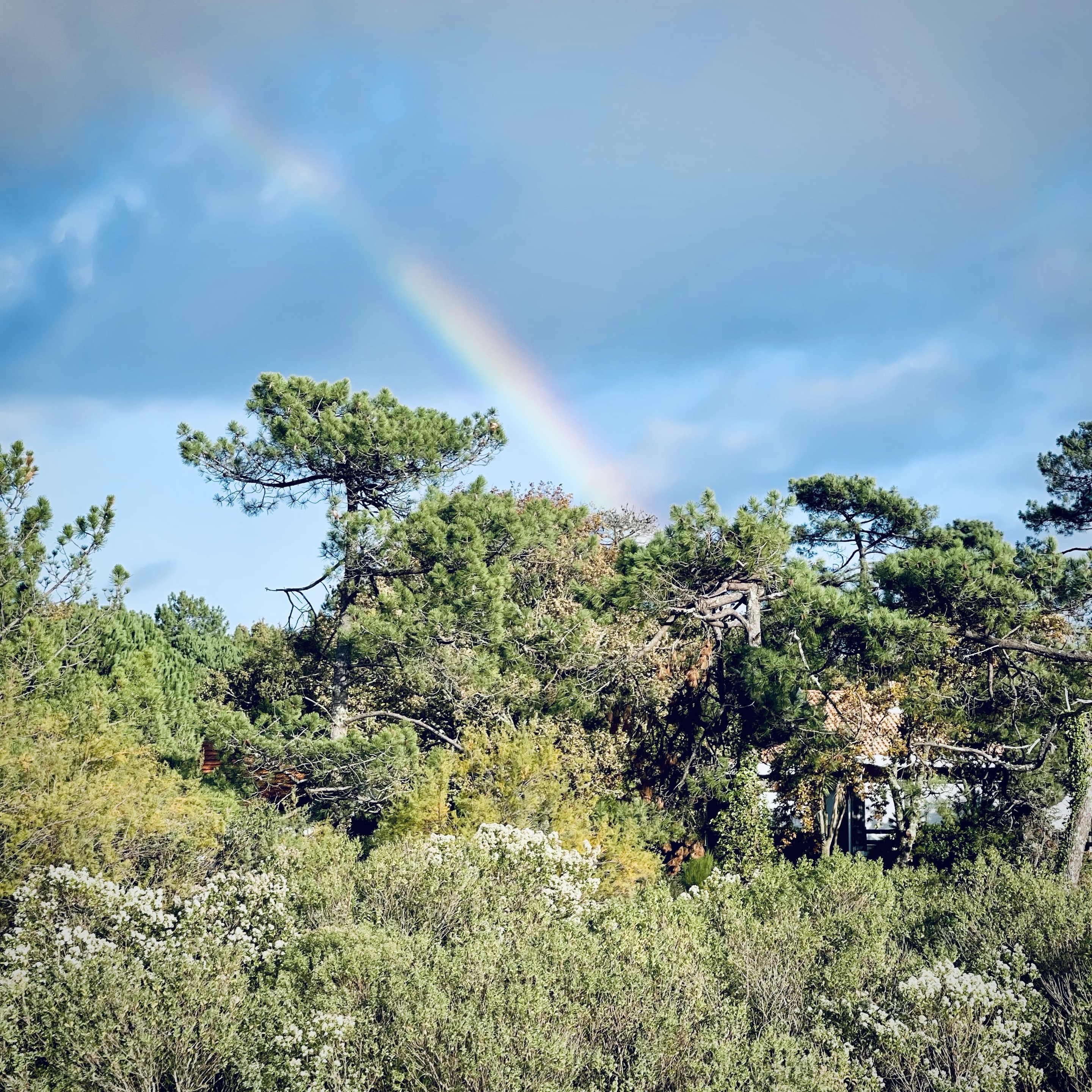 Sorry, no caption provided by author