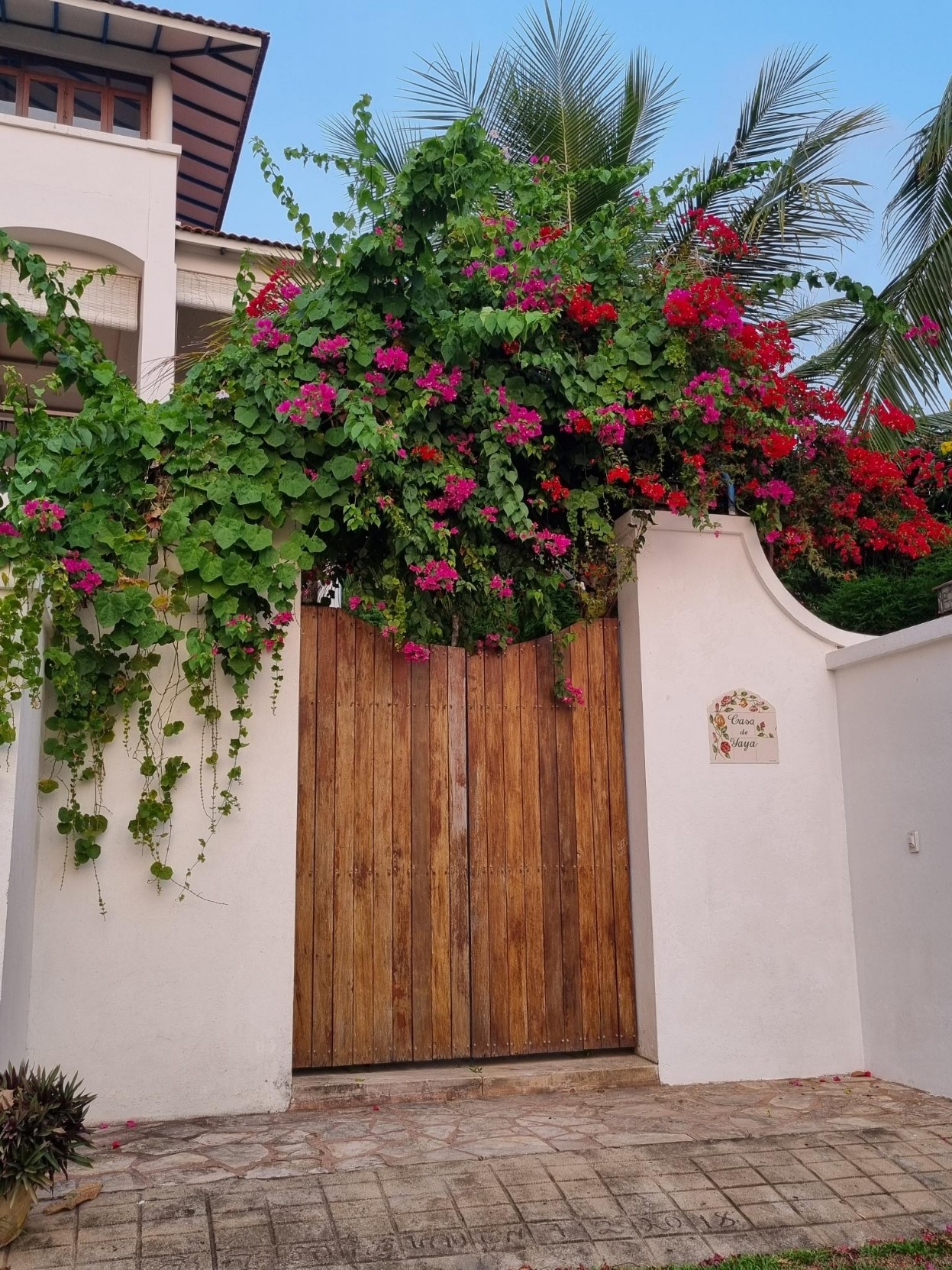 Une porte en bois, assez brute, dominée par une immense plante grimpante pleine de fleurs roses